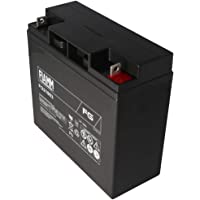 Los mejores  - FIAMM Batería de Plomo-ácido FG21803